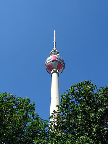 Foto Fernsehturm und Bäume