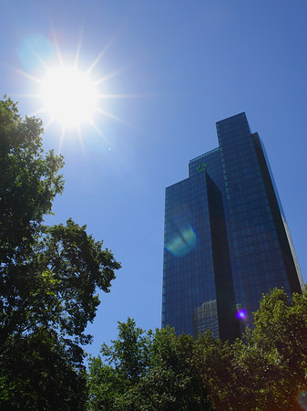 Foto Sonne strahlt die Dresdner Bank an - Frankfurt am Main