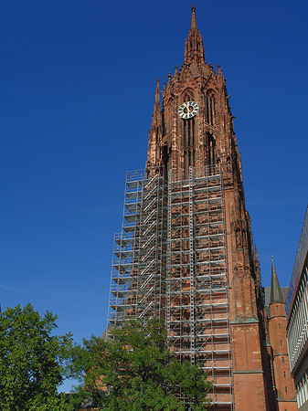 Foto Kaiserdom St. Bartholomäus mit Baum