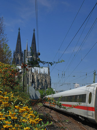 Fotos Kölner Dom mit ICE