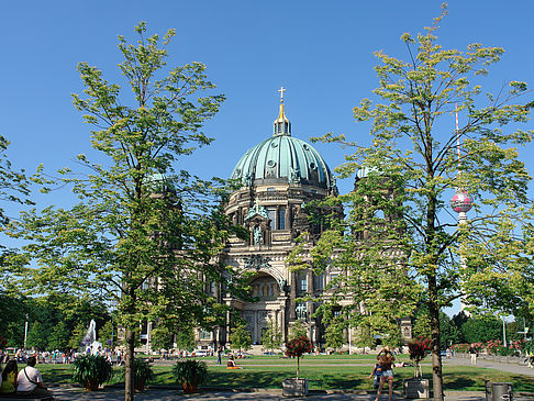 Fotos Berliner Dom