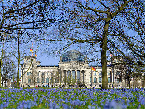 Blumenwiese am Reichstag Fotos