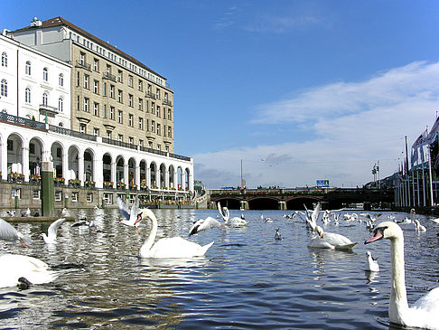 Fotos Alster Arkaden