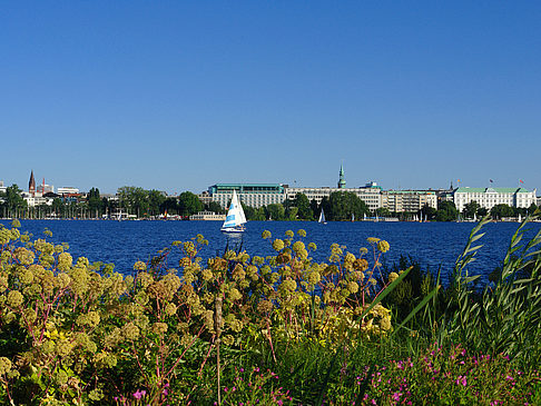 Blick nach Osten von der Außenalster Foto 