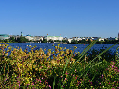 Blick nach Osten von der Außenalster Foto 