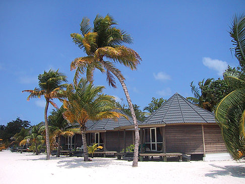 Foto Der weiße Sandstrand der Malediven