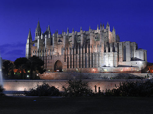 Fotos Neue Farben | Palma de Maljorka