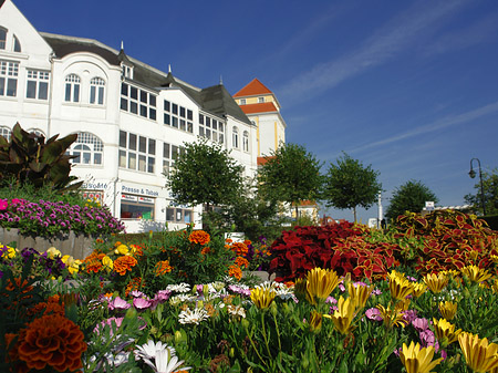 Seebrücke Binz Foto 