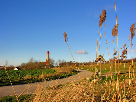 Fotos Turm aus der Ferne