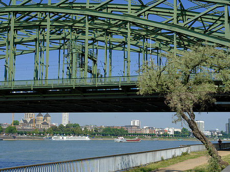 Foto Hohenzollernbrücke mit Baum