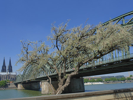 Hohenzollernbrücke am Kölner Dom