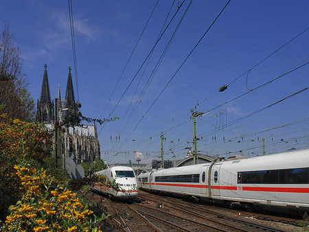 Foto Kölner Dom mit ICE