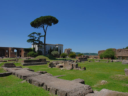 Foto Domus Augustana und das Museo Palatino