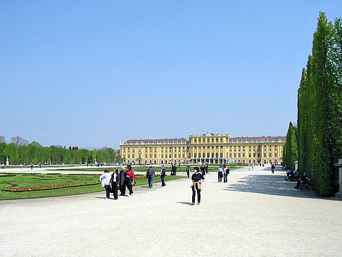 Foto Schlossgarten des Schloss Schönbrunn